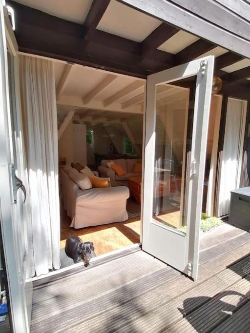 La Cabane, Durbuy Eksteriør bilde