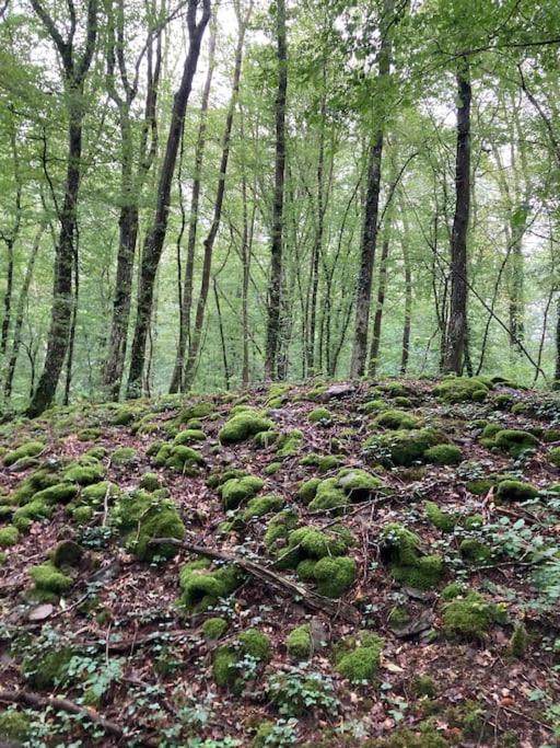 La Cabane, Durbuy Eksteriør bilde